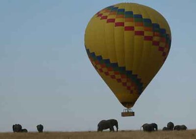 A hot air balloon floating over a grassy plain with elephants below, capturing a unique safari experience.