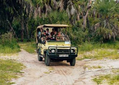 A safari jeep driving through a scenic trail, filled with excited travelers on a guided tour.