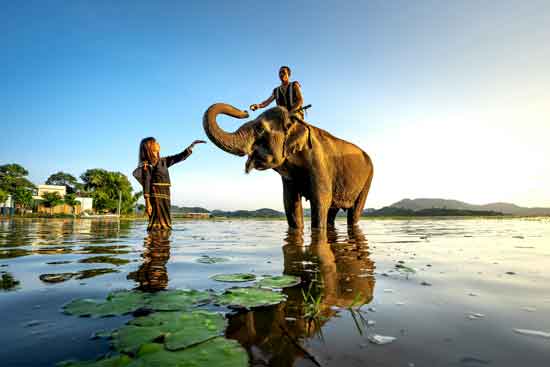 girl on a wildlife adventure in Africa