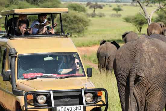 african safari images